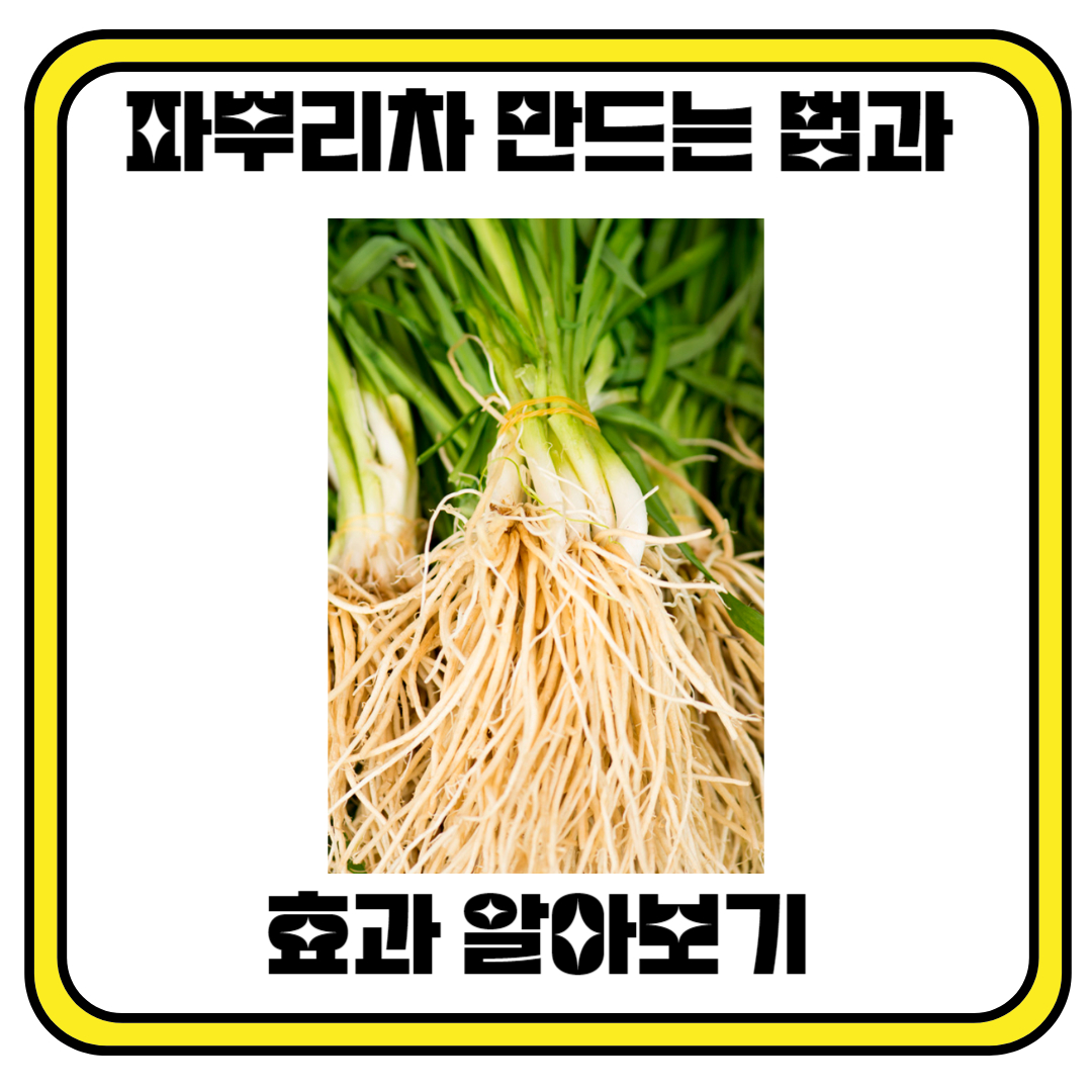 파뿌리차 만드는 법과 효과
