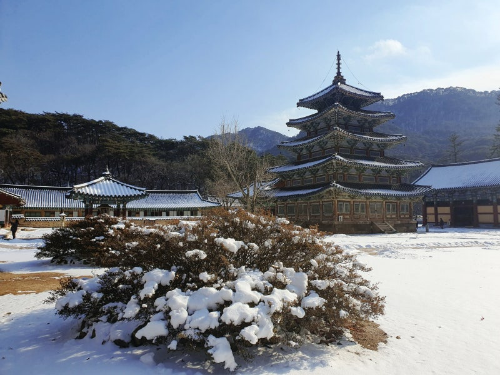 충남 겨울 명소 추천, 설경과 자연이 아름다운 겨울 여행지
