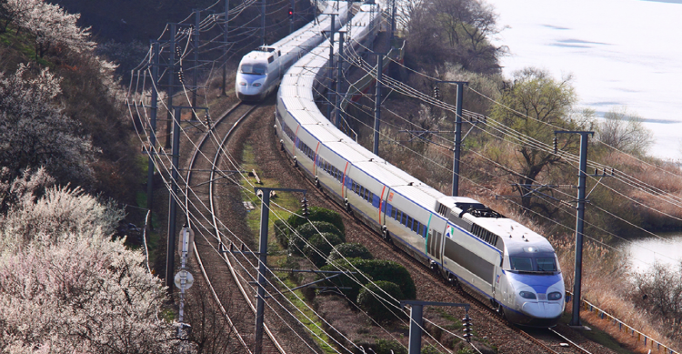 양산 원동 매화축제