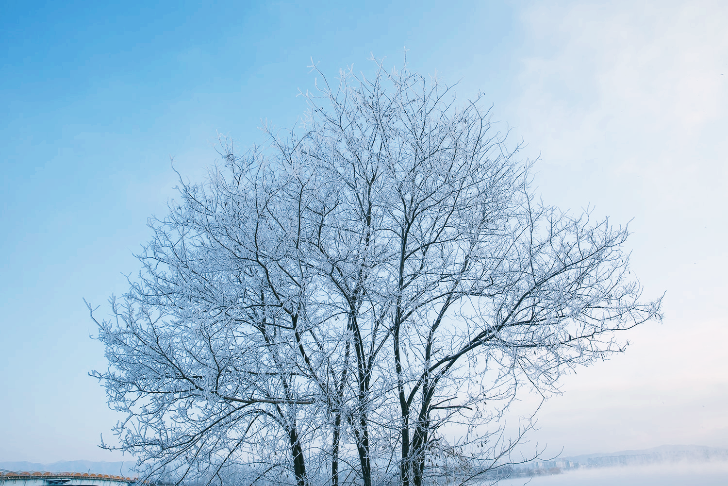 춘천 상고대 명소5