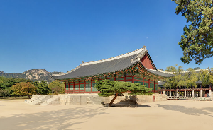 경복궁 야간관람