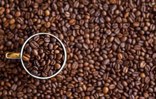 지방간 예방, 간에 좋은 음식, 간을 회복시켜주고 해독시켜주는 음식들 - 냉이, 구기자, 미나리, 자몽, 적포도, 오메가3, 견과류, 커피, 녹차