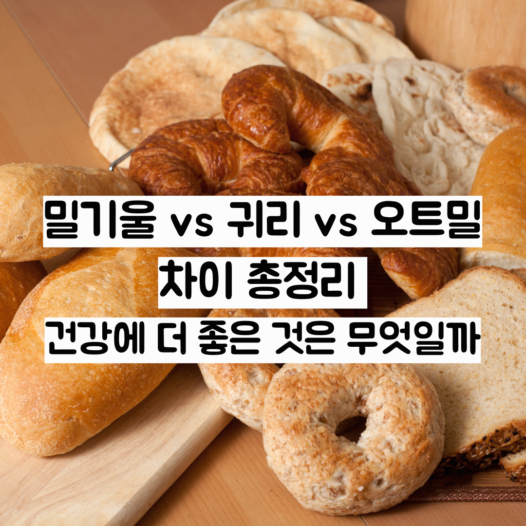 밀기울 vs 귀리 vs 오트밀 차이 총정리 &ndash; 건강에 더 좋은 것은 무엇일까