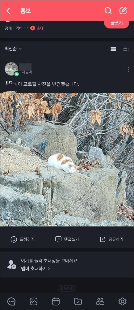 밴드 프로필 사진 변경 최종