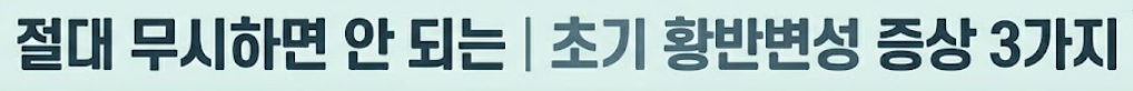 황반변성 증상