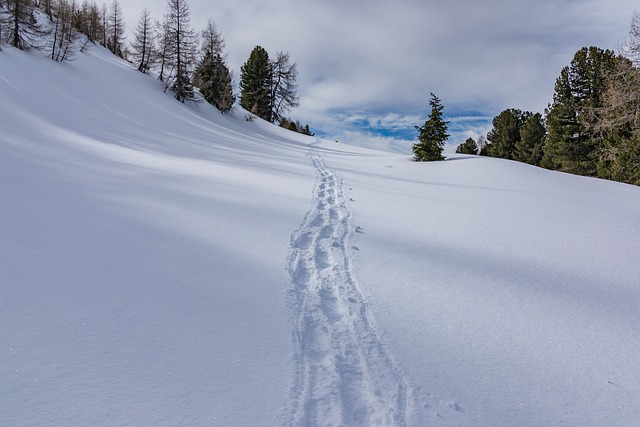 겨울철 눈길&middot;빙판길 안전 운전 주의사항 준비할 점 