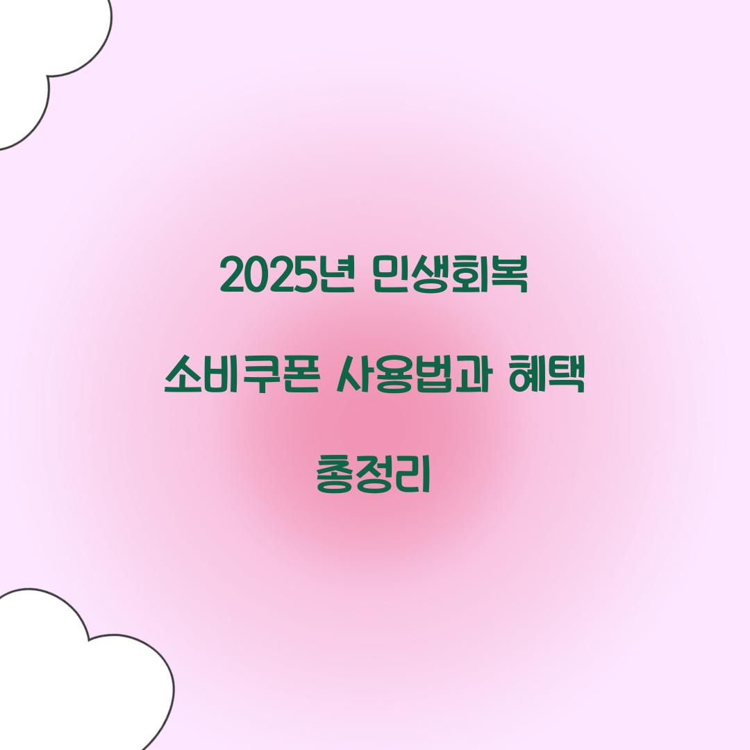 2025년 민생회복 소비쿠폰