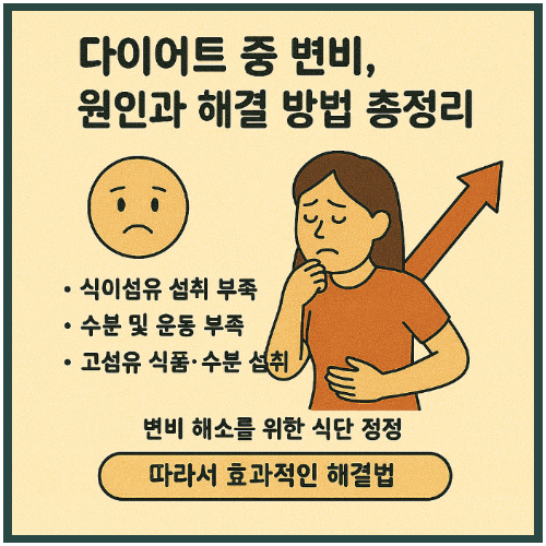 다이어트 중 변비, 원인과 해결 방법 총정리