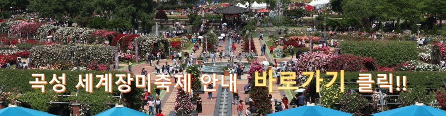 축제안내 바로가기