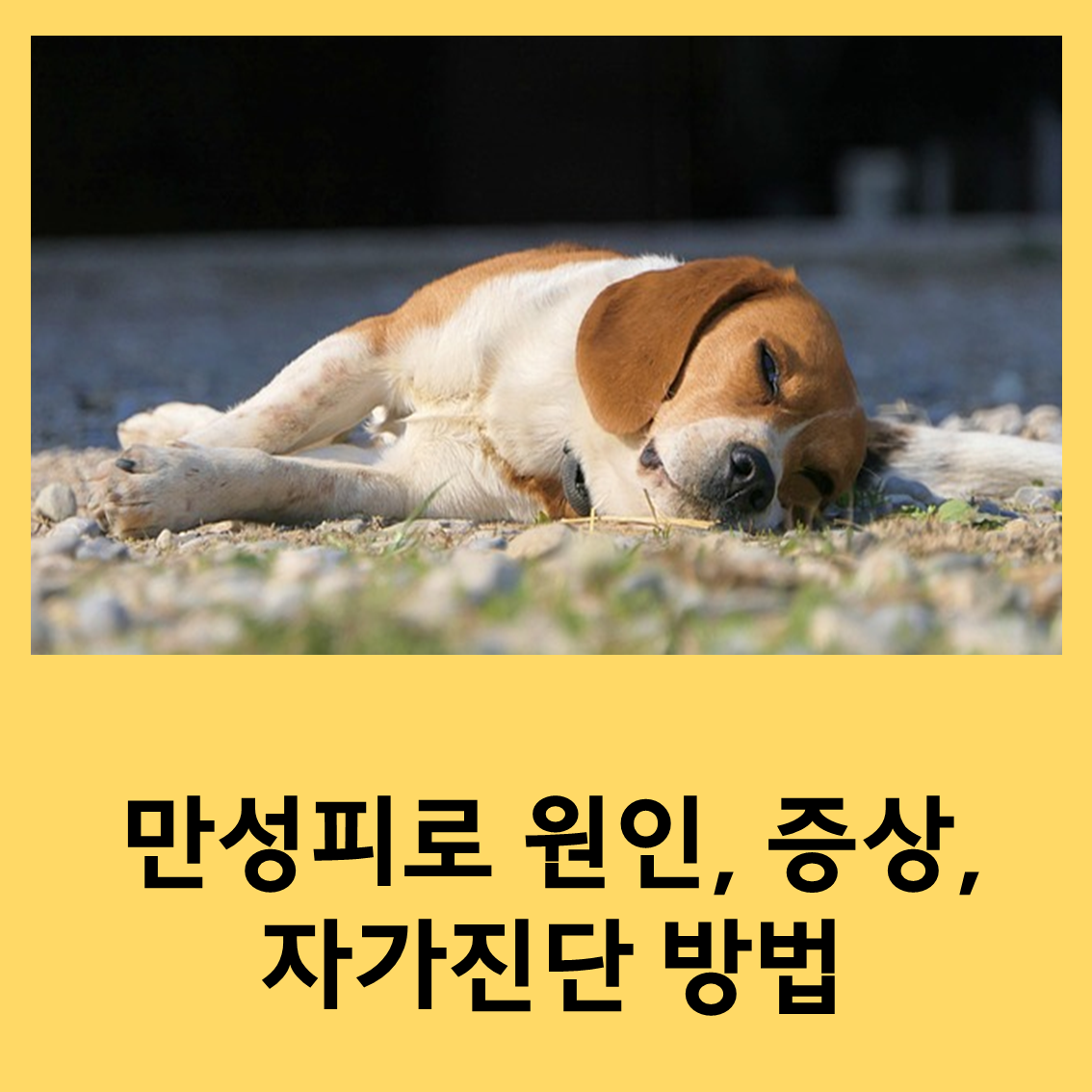 만성피로