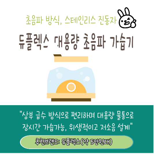 건조한계절 천연가습기 추천