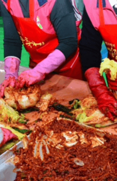 평창김장축제 김장체험 예약