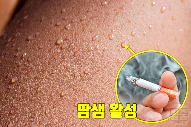 땀 많이 나는 병 다한증 원인 니코틴