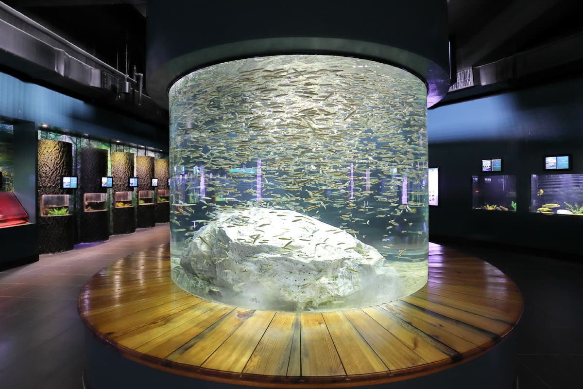 민물고기생태체험관