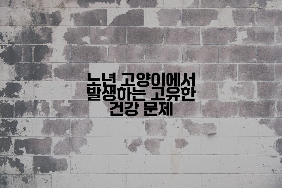 노년 고양이에서 발생하는 고유한 건강 문제