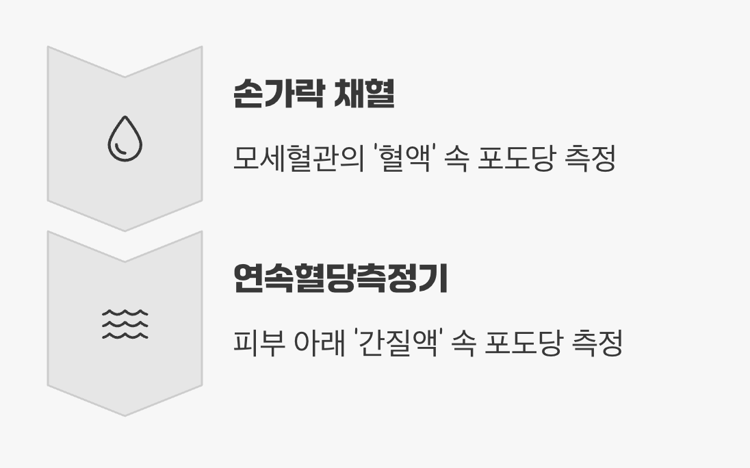 우리가 재는 것은 '피'가 아닙니다