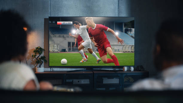 TV 시청