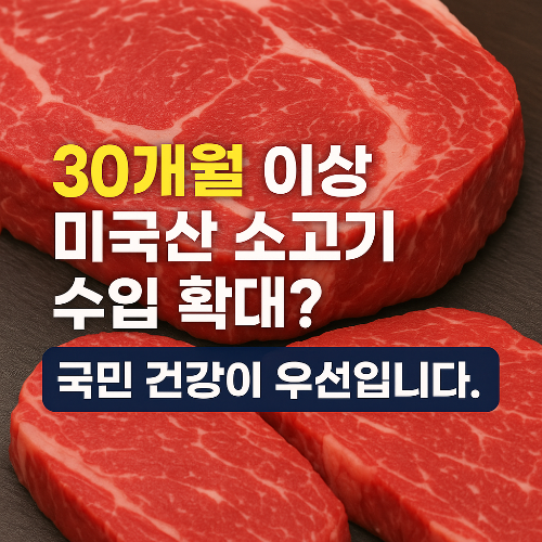 Alt 속성 문제 해결 설명 이미지