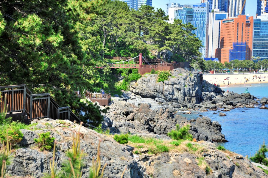 2022년 5월 해운대 동백섬 산책로