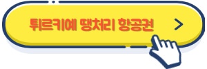 튀르키예 땡처리 항공권
