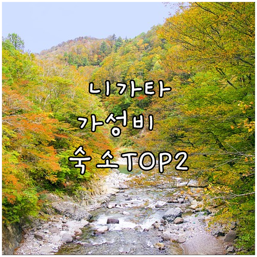 니가타 여행 가성비 숙소 TOP 2 ..