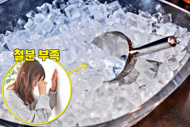 철분 부족 증상 빈혈 면역력, 이상 식탐 식욕,건강 팁줌 매일꿀정보