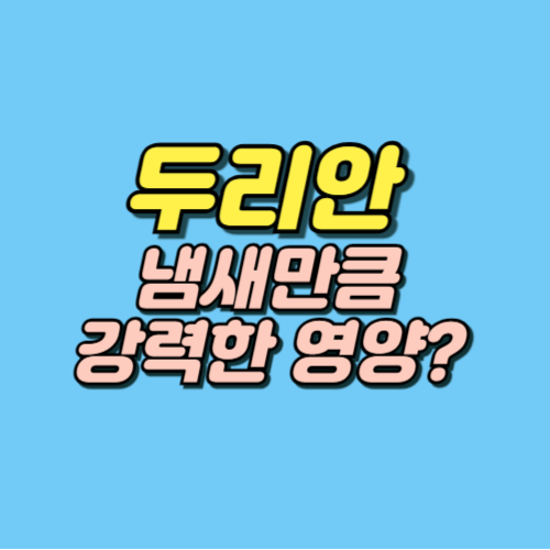 두리안 효능
