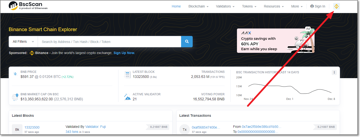 BSC-SCAN-홈페이지