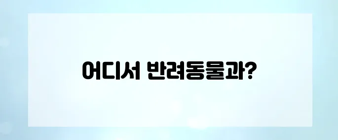 반려동물과 해외여행 가능한 국가 TOP 5
