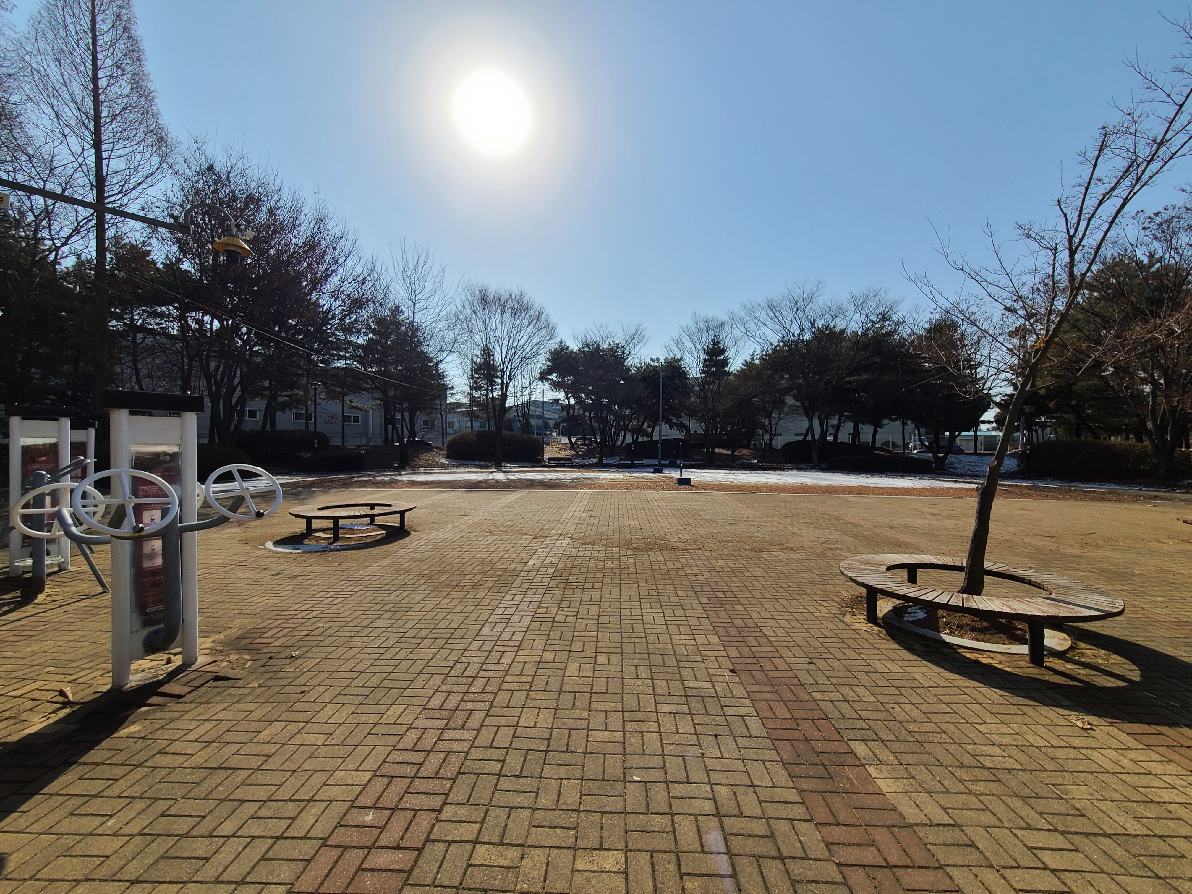 센트럴타워 공사현장 근처 공원3