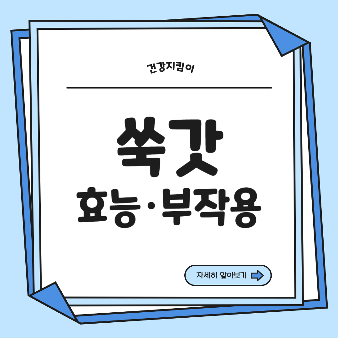 쑥갓의 효능 부작용 고르는법 칼로리 꽃