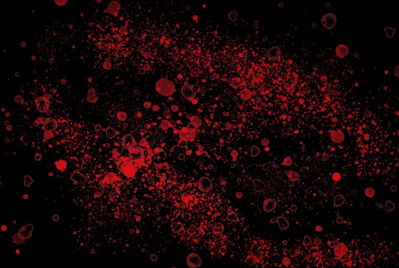 바닥에-뿌려진-혈액