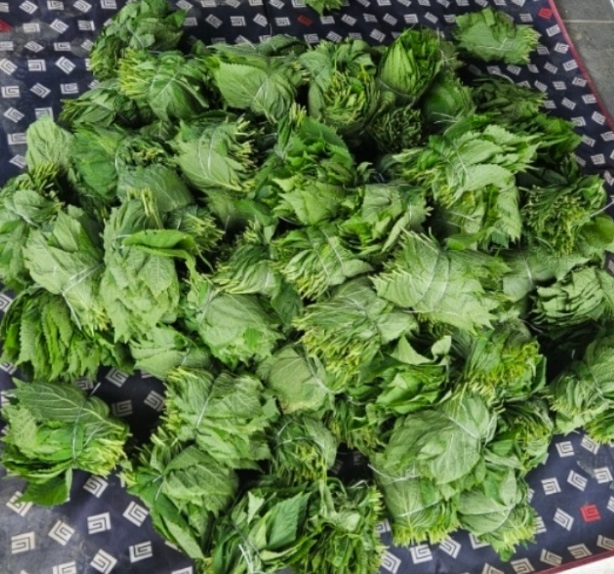 한국기행-깻잎김치-유금농산-김장-김치