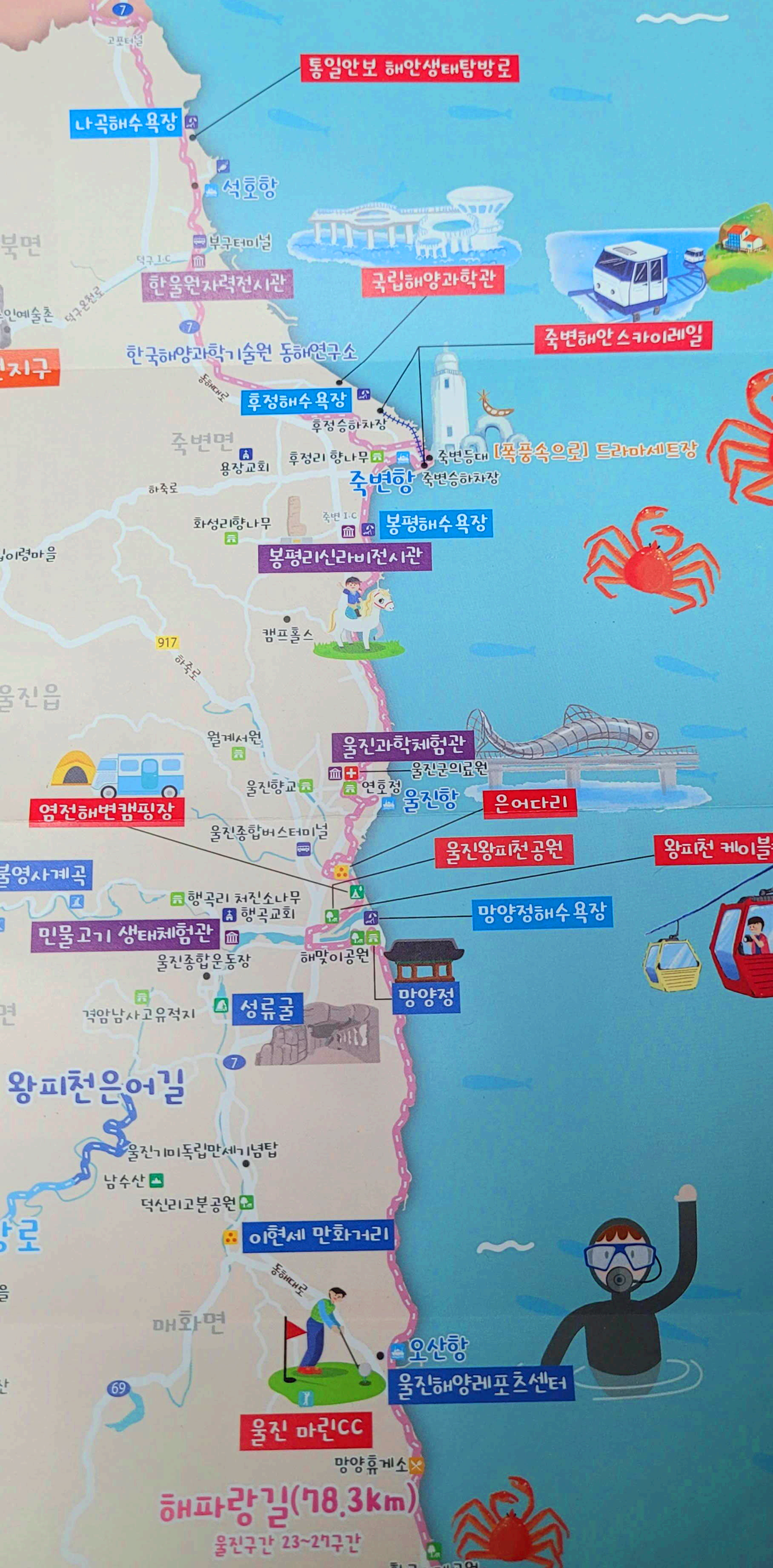 울진군 관광안내지도 뒷면2