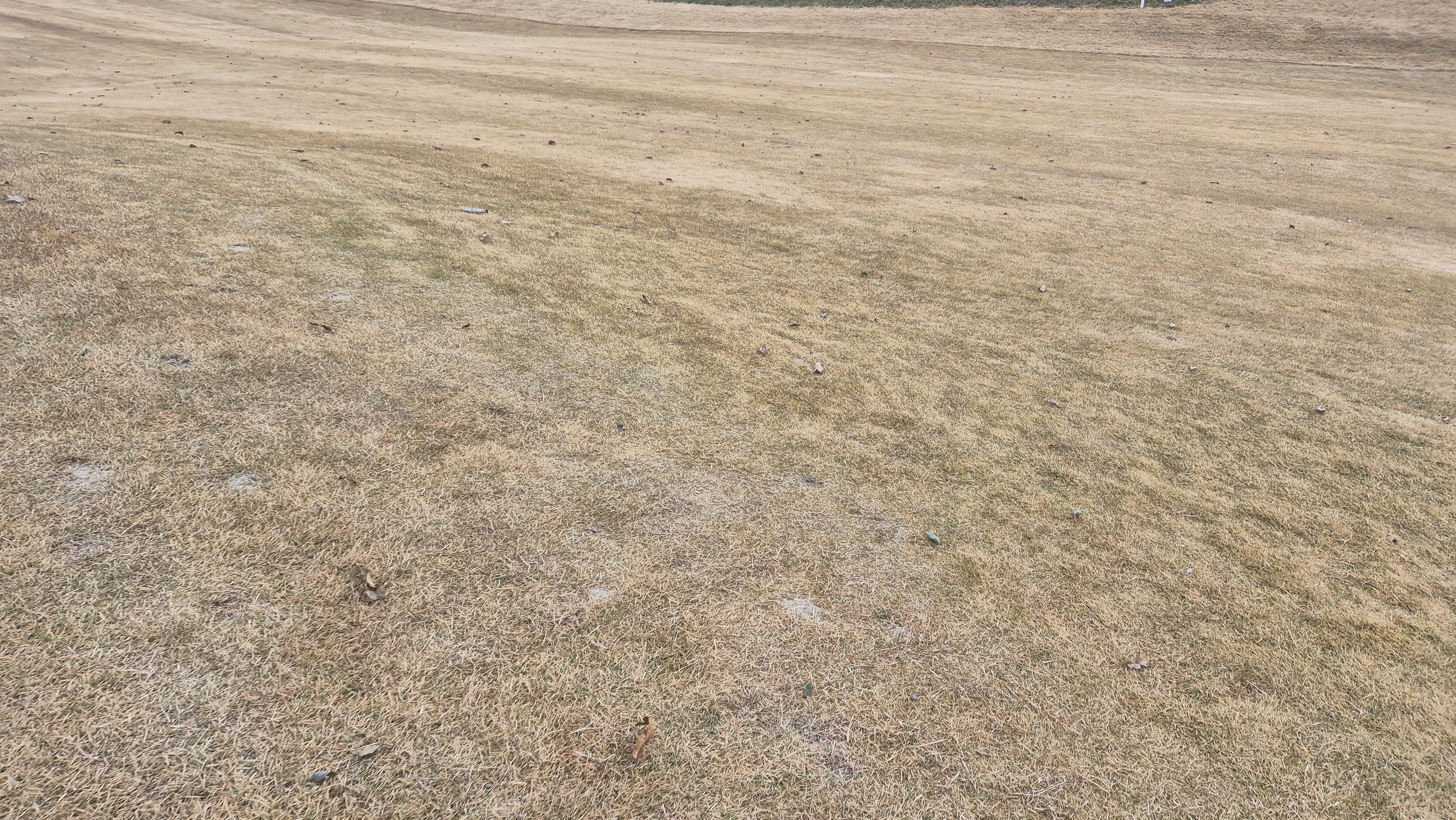 힐데스하임 레이크-힐 코스 코스 관리 상태