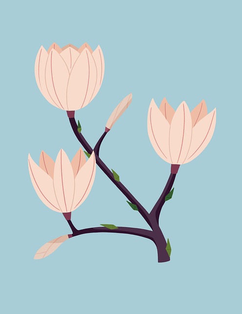 목련 꽃 그림