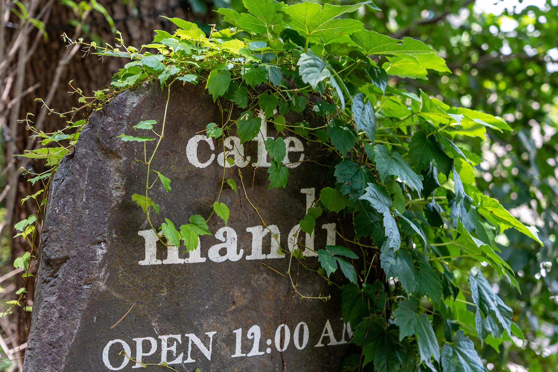 괴정 카페 만디