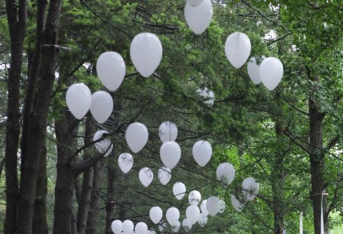 강원도 가볼만한곳 이미지 입니다.