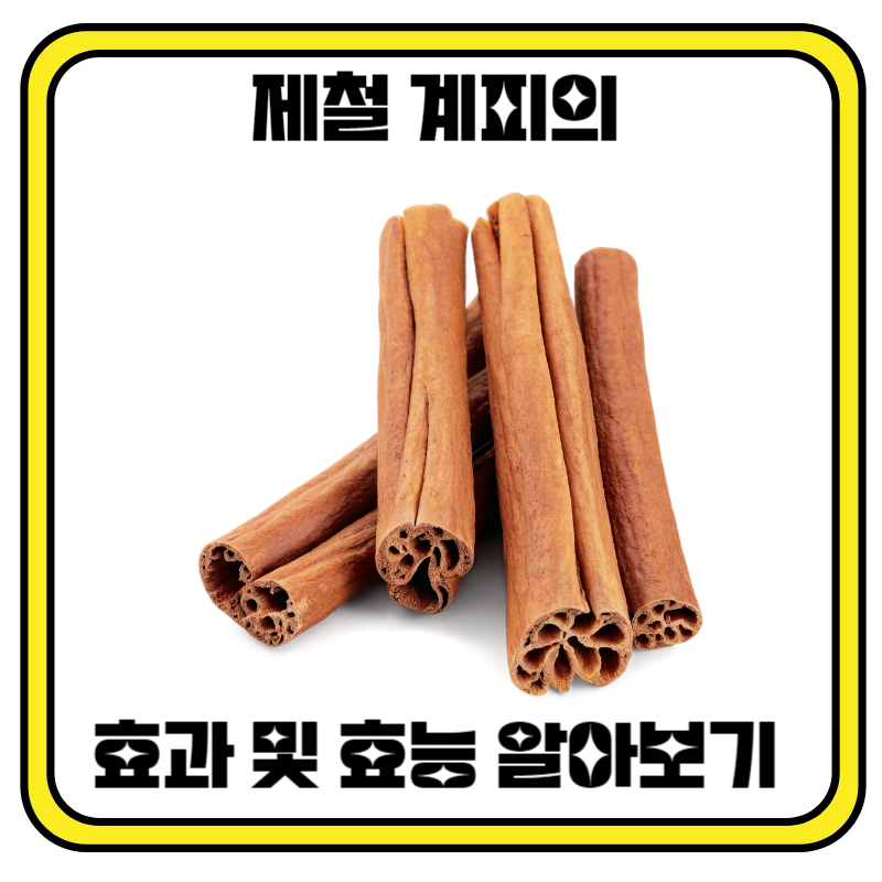 제철 계피 효과 및 효능