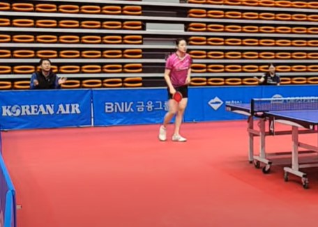 pingpong