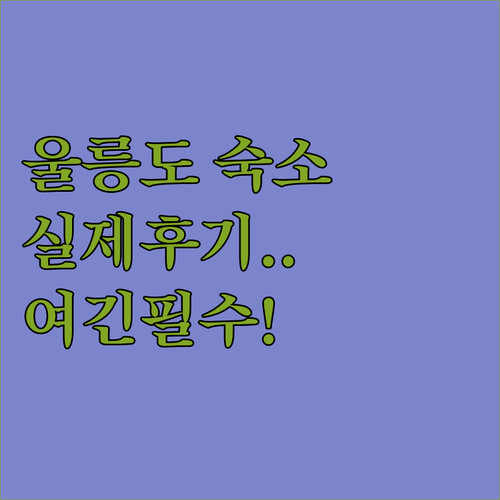 울릉도 숙소 추천 및 여행객 타입별 ..