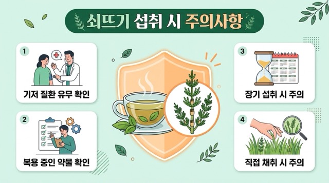 쇠뜨기 과장 표현 주의 이미지