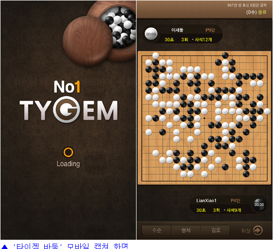 타이젬 바둑 설치하기