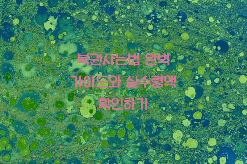 복권사는법