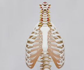 골다공증에 좋은 음식 영양제 식단