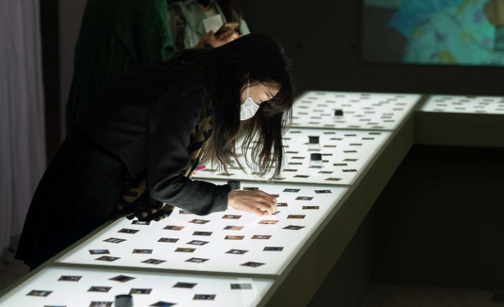 어노니머스 프로젝트 부산 얼리버드 티켓 예매