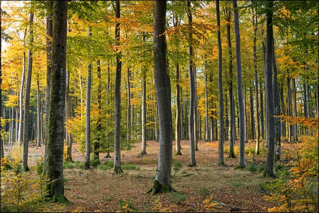 2025년 장마 기간&amp;#44; 예상 시작일 및 준비사항(+장마철 관련주)