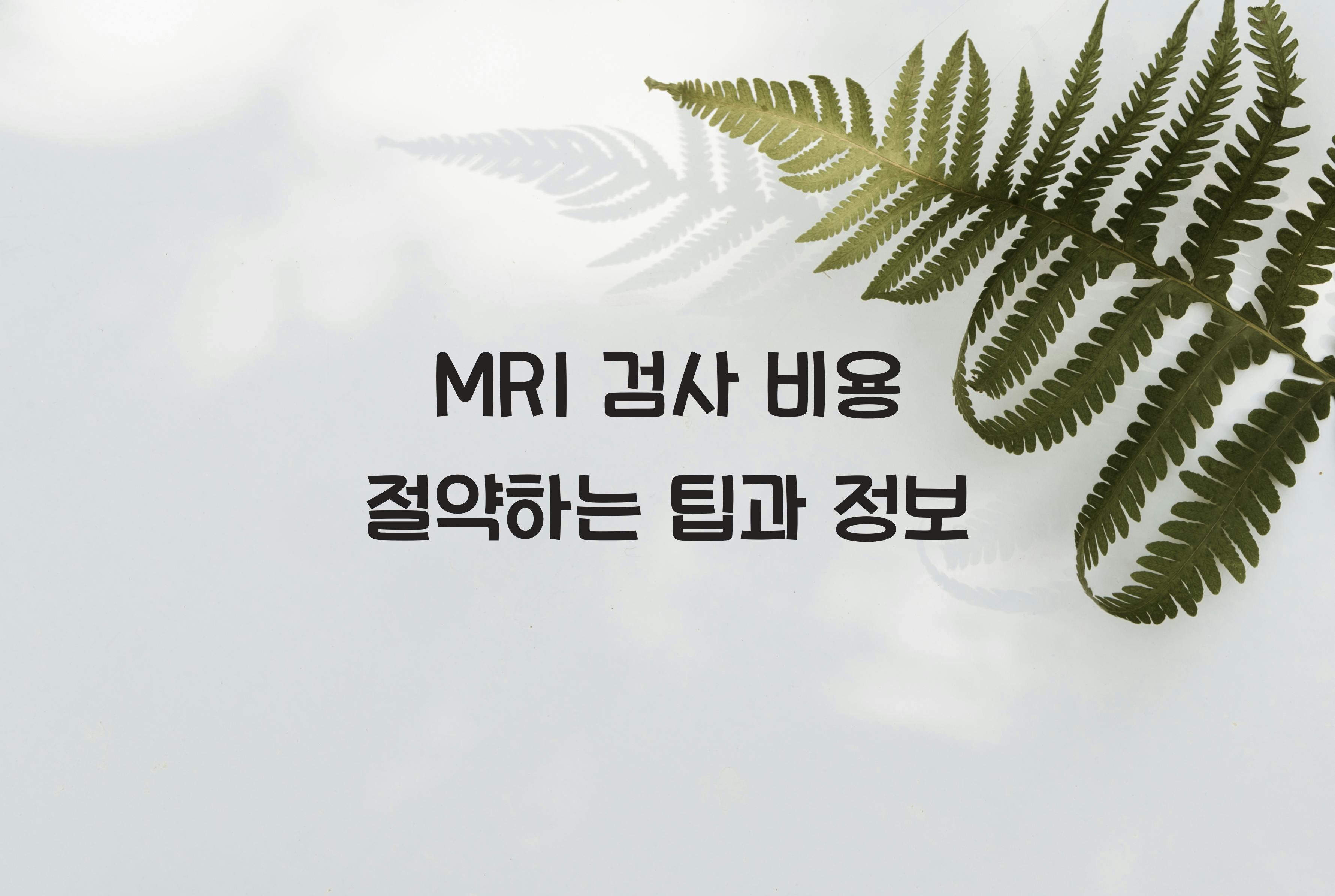 MRI 검사 비용