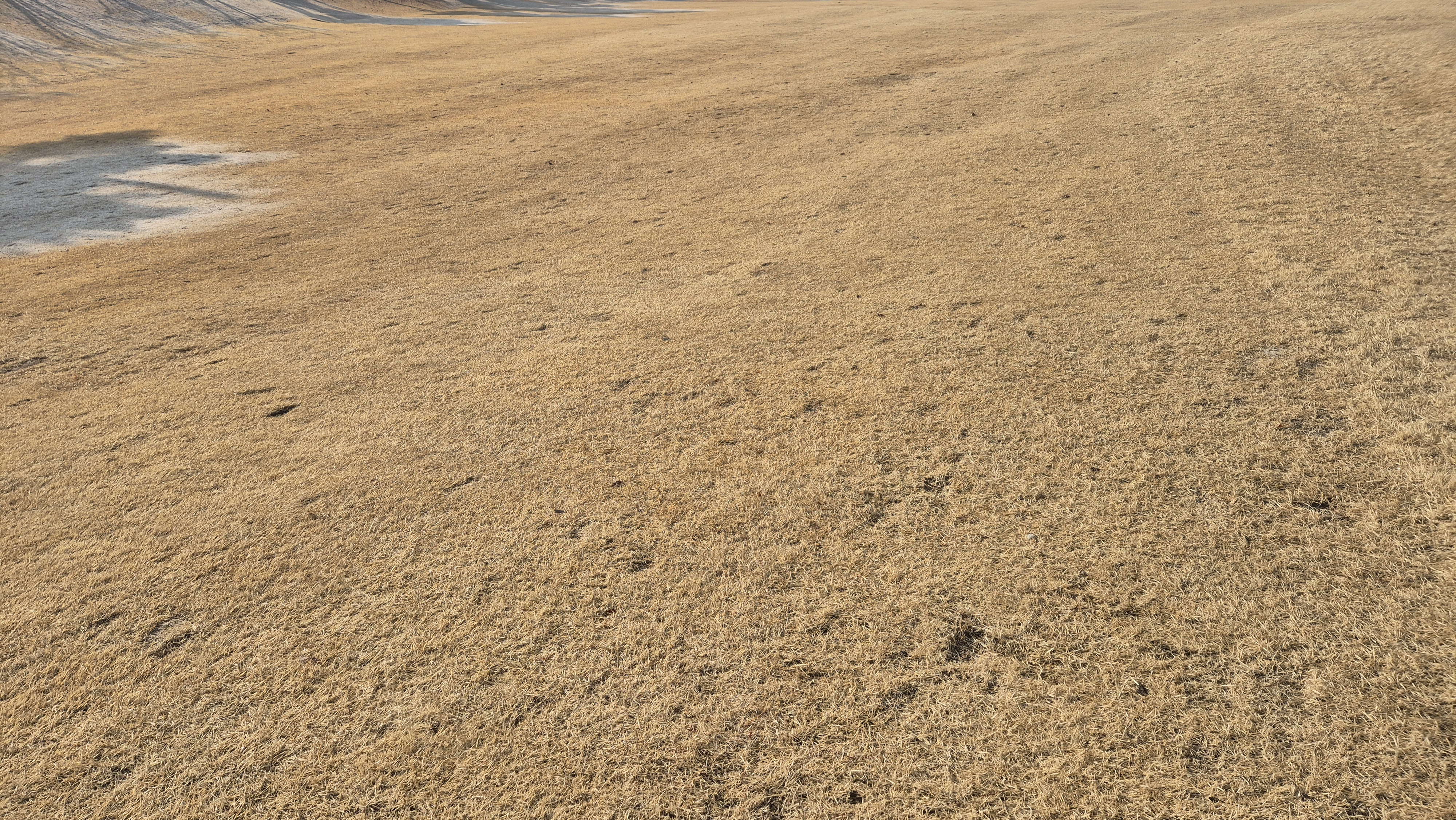 비에이비스타cc 호박-보나(퍼블릭) 코스 관리상태