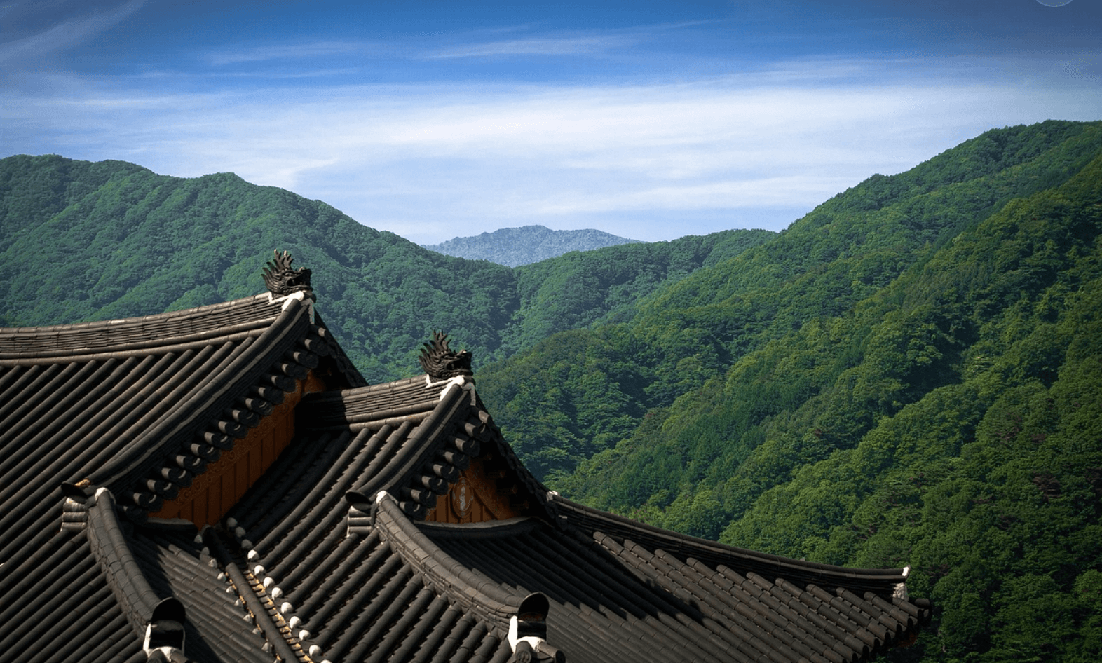 한국어 숫자 배우기 &ndash; 한자어 수와 고유어 수의 차이